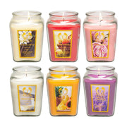 18oz Aromatherapy Scented Candle Gift Set in diamond jars with single wick, featuring various fragrances for relaxation and aromatherapy.