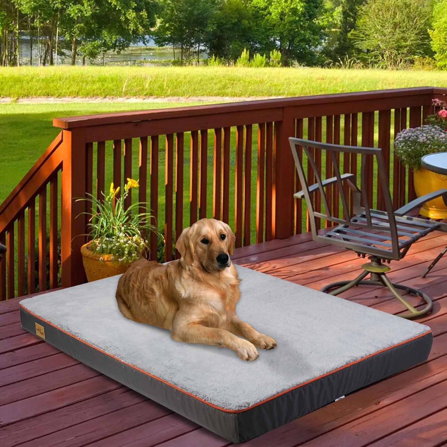 Large Orthopedic Dog Bed Washable