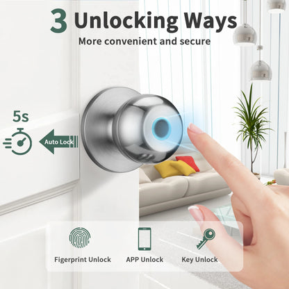 Fingerprint Door Lock Bedrooms Apartments Offices