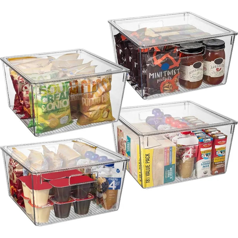 Plastic Storage Bins with Lids