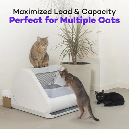 Self-Cleaning Cat Litter Box