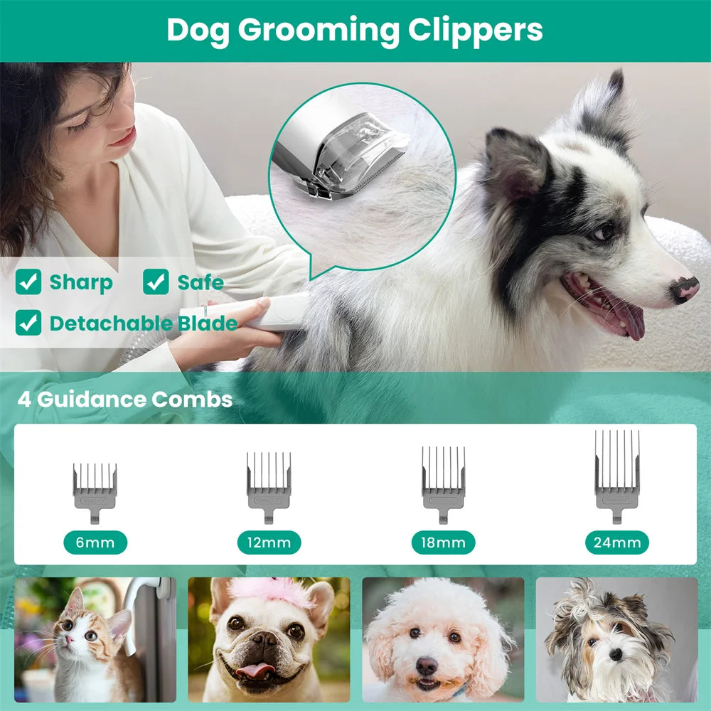 Grooming Tools for Dogs and Cats