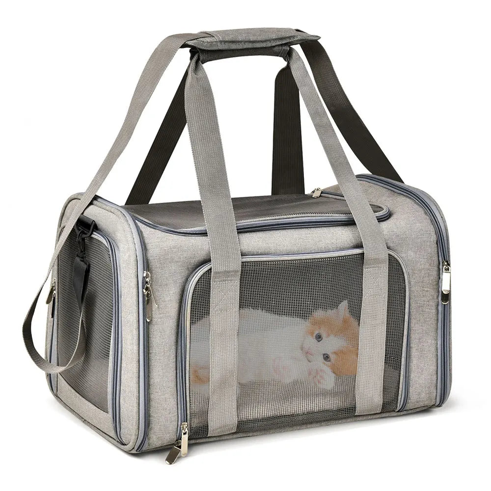 Airline Approved Transport For Small Dogs Cats