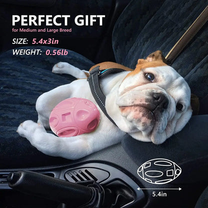 Durable Premium Dog Chew Toy