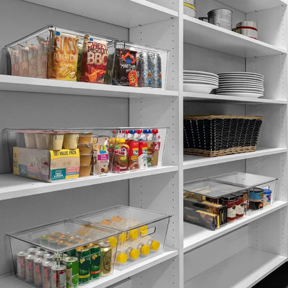 Plastic Storage Bins with Lids