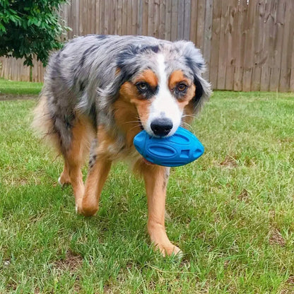 Durable Premium Dog Chew Toy