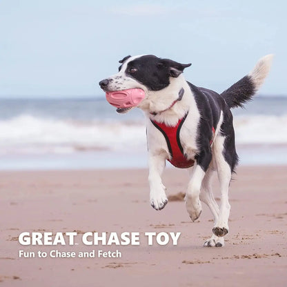 Durable Premium Dog Chew Toy