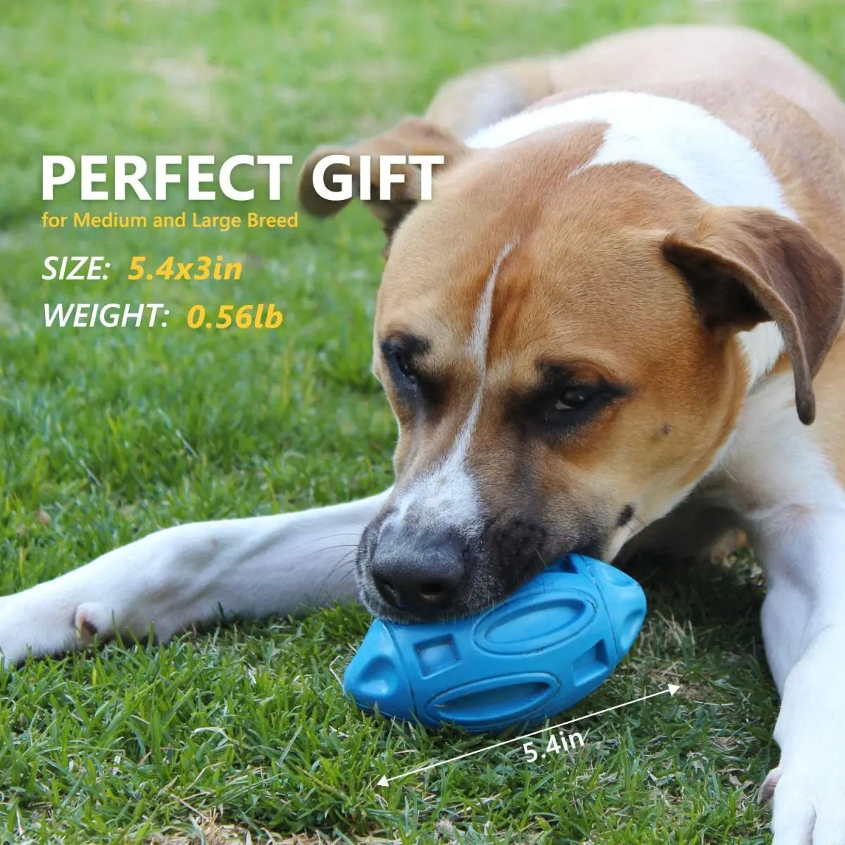 Durable Premium Dog Chew Toy