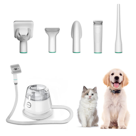 Grooming Tools for Dogs and Cats