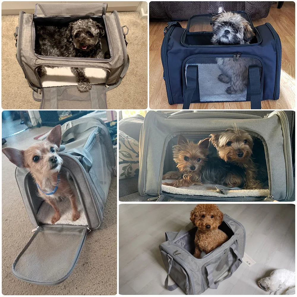 Airline Approved Transport For Small Dogs Cats