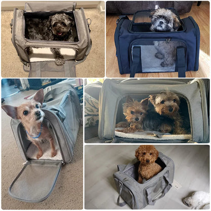 Airline Approved Transport For Small Dogs Cats